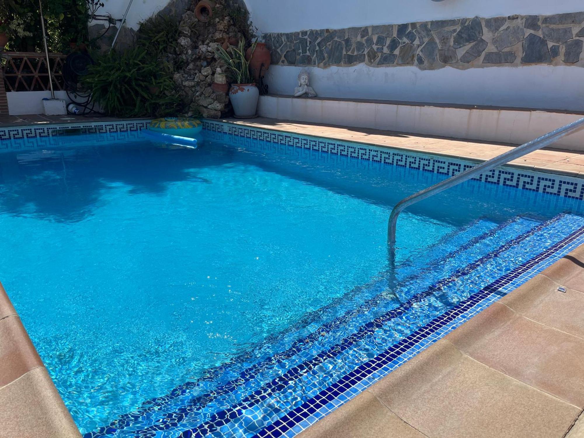 With Swimming Pool And Nature